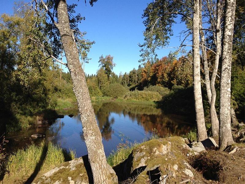 Gulliga Torpet Villa Vislanda Exteriör bild